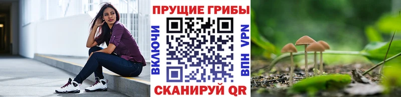 Псилоцибиновые грибы Magic Shrooms  купить наркоту  Тулун 