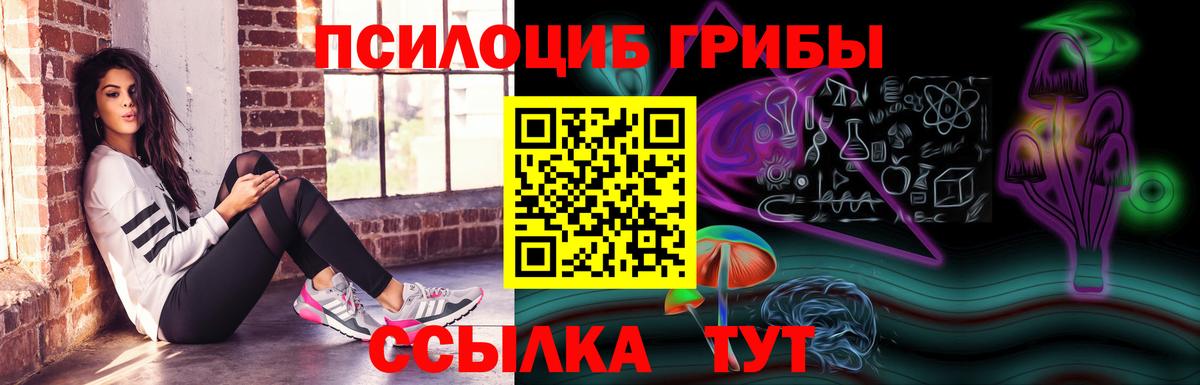 Тулун  Псилоцибиновые грибы MAGIC MUSHROOMS  Вход с VPN 